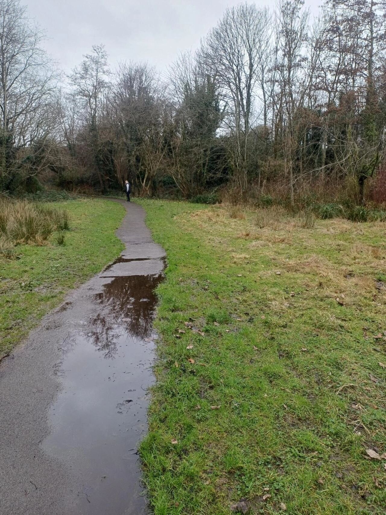 Before installation: standing water pooling across the access path at Castletown Close