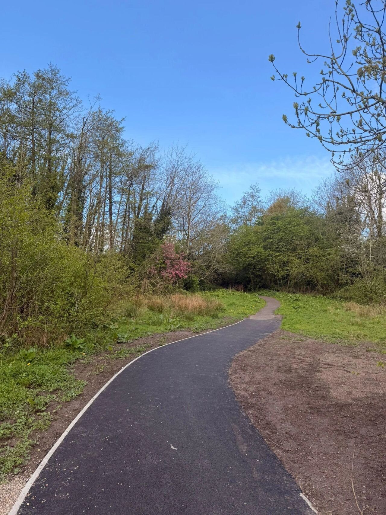 Finished asphalt path curving through the woodland at Castletown Close